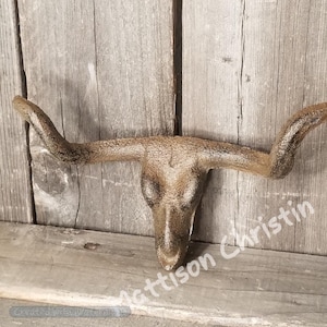 May include: A cast iron longhorn steer skull wall decor with a rustic brown finish. The skull has a detailed design with horns that curve upwards.