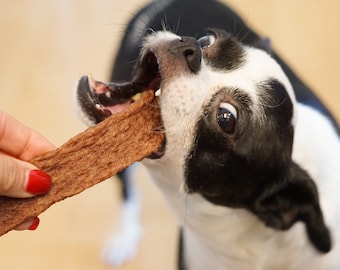 All Natural Turkey Jerky Dog Treats: Single Ingredient, Healthy Protein