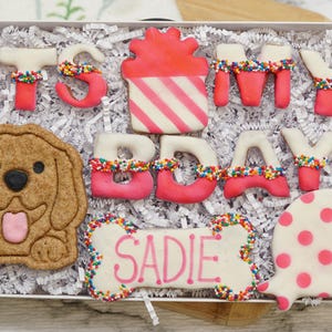 Personalized Dog Treat Birthday Box | Happy Barkday Cookie Gift Box | It&#39;s my Bday Healthy treats for dogs