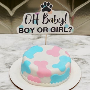 Gender Reveal Dog Cake: 4&quot; PB & Banana Treat, Personalized Pet Gift