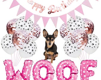 Dog Birthday Party Balloon & Happy Birthday Banner Decoration 19-pc. Set