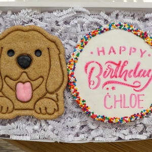Personalized Dog Birthday Treat Gift Box: Healthy Dog Cookies