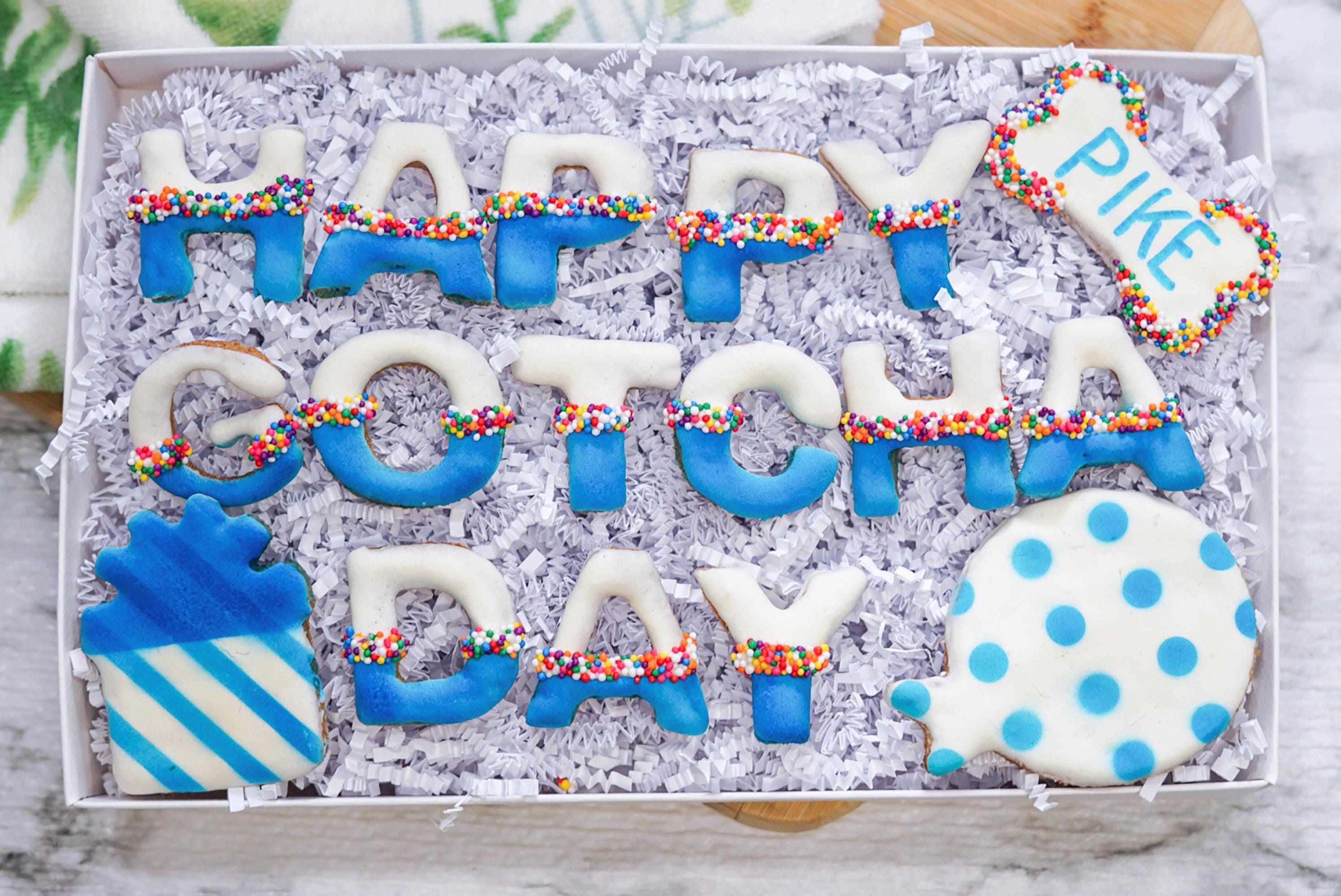 Happy Gotcha Day Dog Gift Box Personalized Welcome Home Kit with Healthy Treats & Cookies for New Dogs
