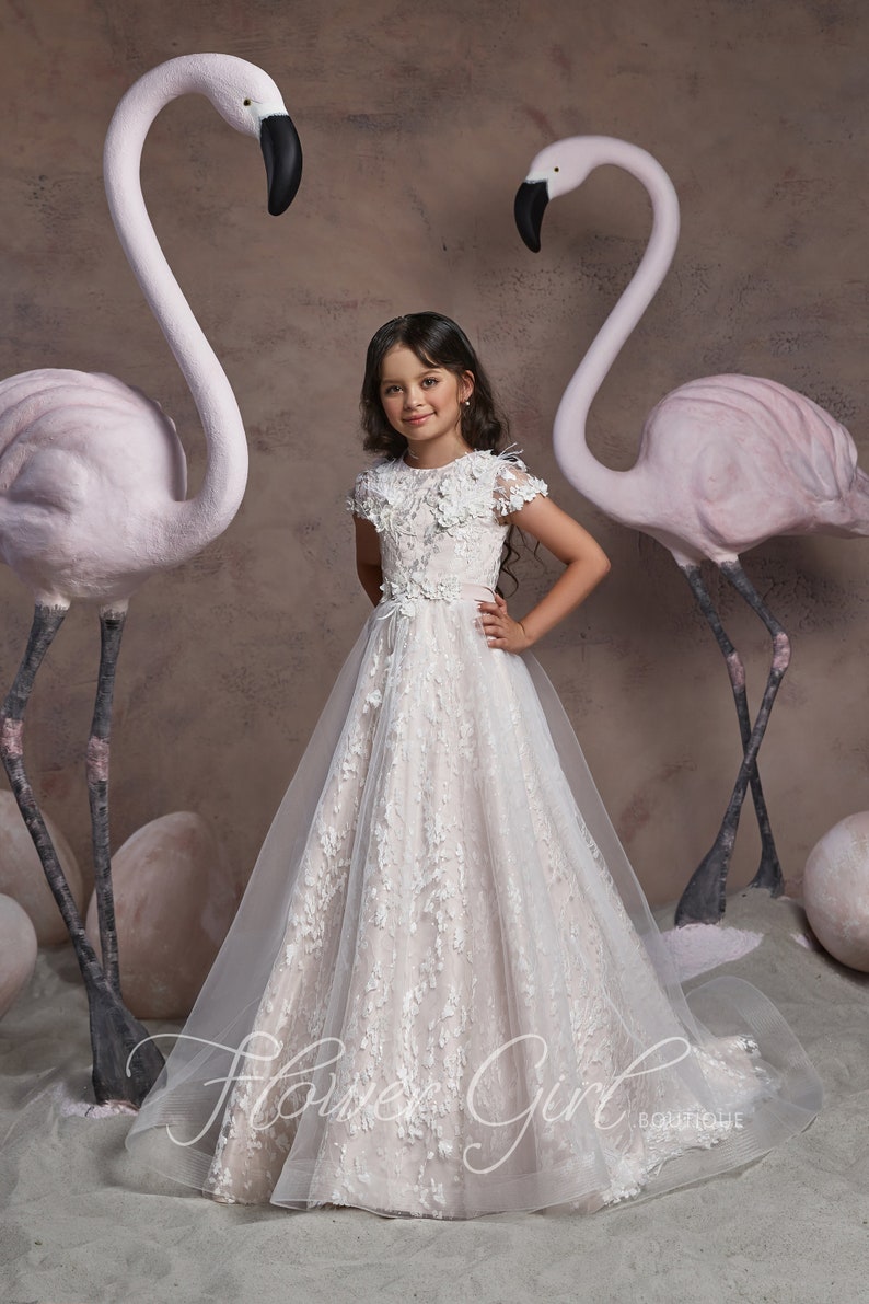 Blush Flower Girl Dress Blush Lace Flower Girl Dress Girls Etsy