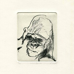 Male Gorilla - Etching Print