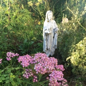 May include: A white statue of a woman in a long robe stands in a garden with pink yarrow flowers.