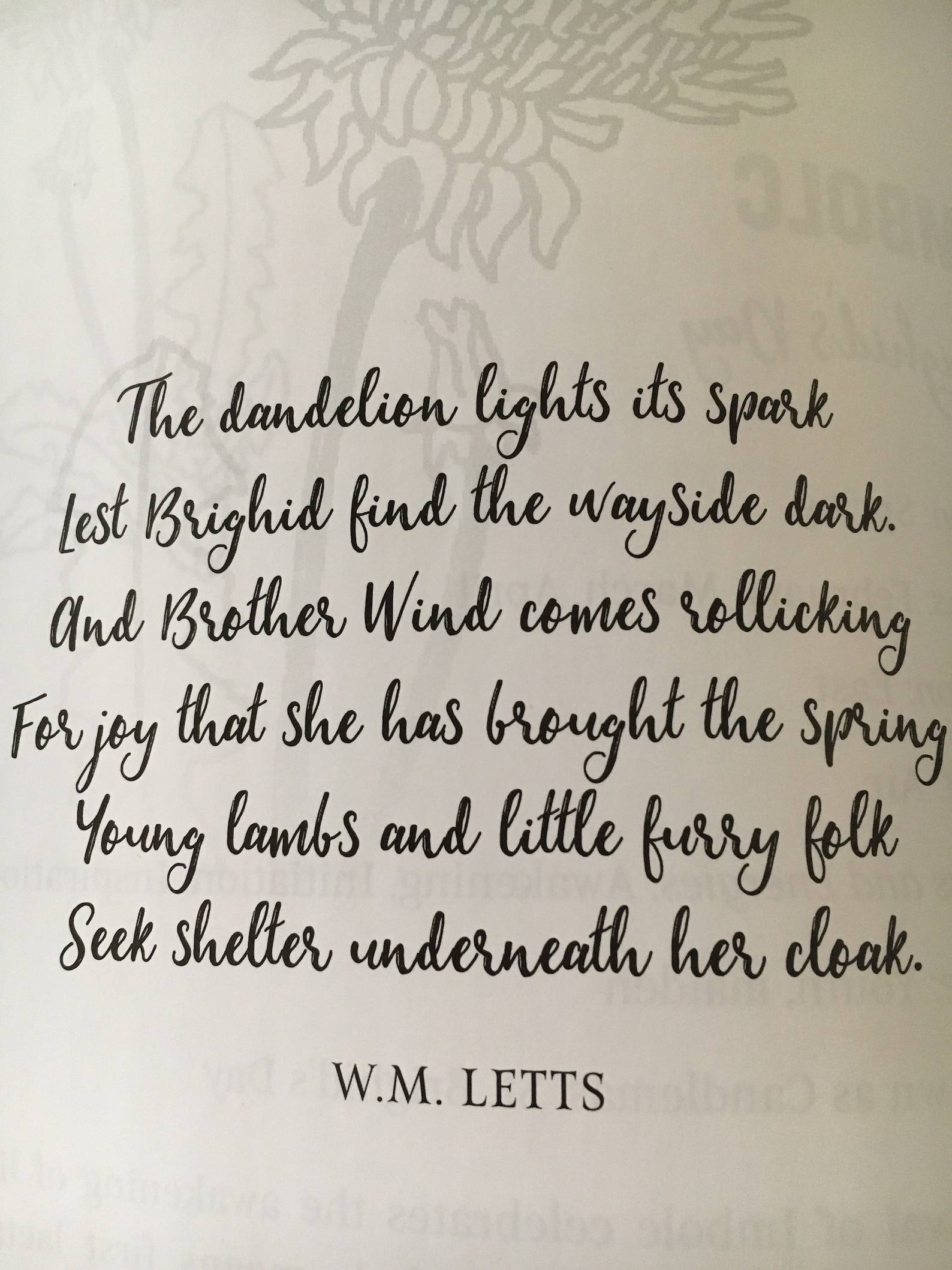 Wild Irish Roots: A Seasonal Guidebook of Herbs, Ritual and Connection ...