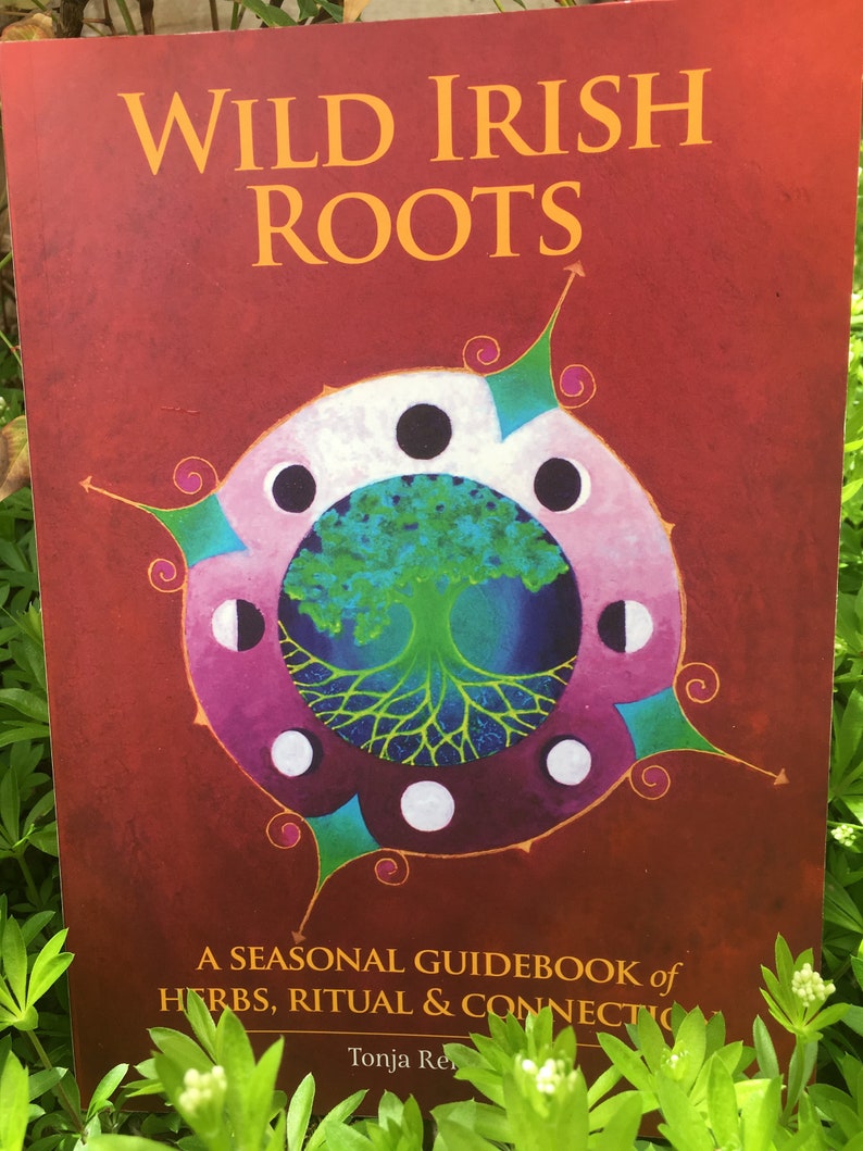 Wild Irish Roots: A Seasonal Guidebook of Herbs, Ritual and Connection image 2