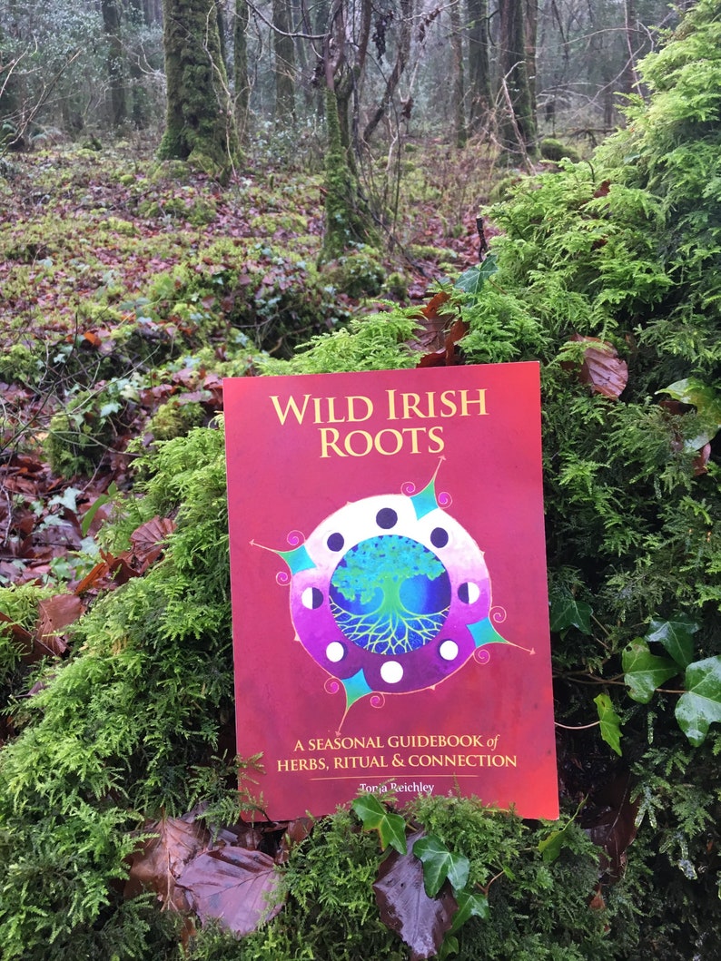 Wild Irish Roots: A Seasonal Guidebook of Herbs, Ritual and Connection image 1