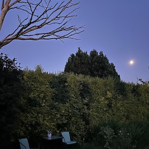 May include: A view of a backyard at dusk with a full moon in the sky. Two chairs and a small table are set up on a blue and white patterned rug. The chairs are light blue and the table is black. There is a small potted plant on the table.
