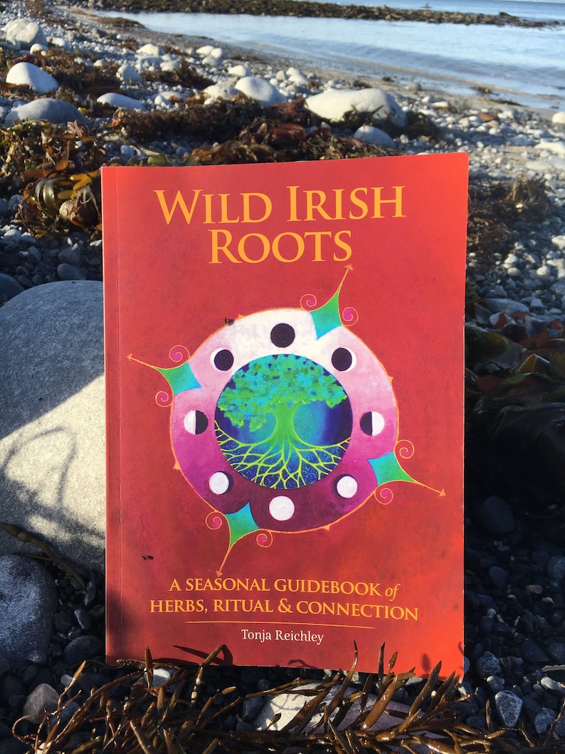 Wild Irish Roots: A Seasonal Guidebook of Herbs, Ritual and Connection image 4