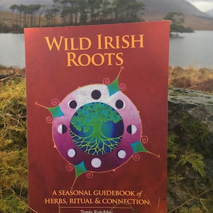 Wild Irish Roots: A Seasonal Guidebook of Herbs, Ritual and Connection image 7