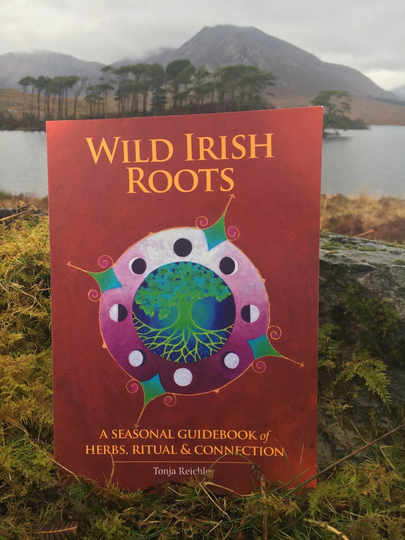 Wild Irish Roots: A Seasonal Guidebook of Herbs, Ritual and Connection image 7