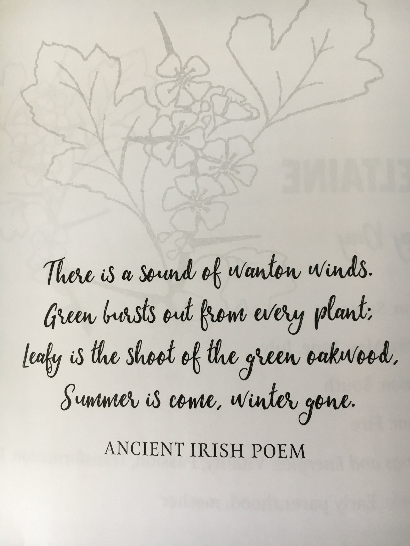 Wild Irish Roots: A Seasonal Guidebook of Herbs, Ritual and Connection ...