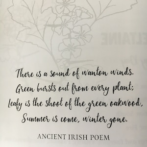 Wild Irish Roots: A Seasonal Guidebook of Herbs, Ritual and Connection image 3