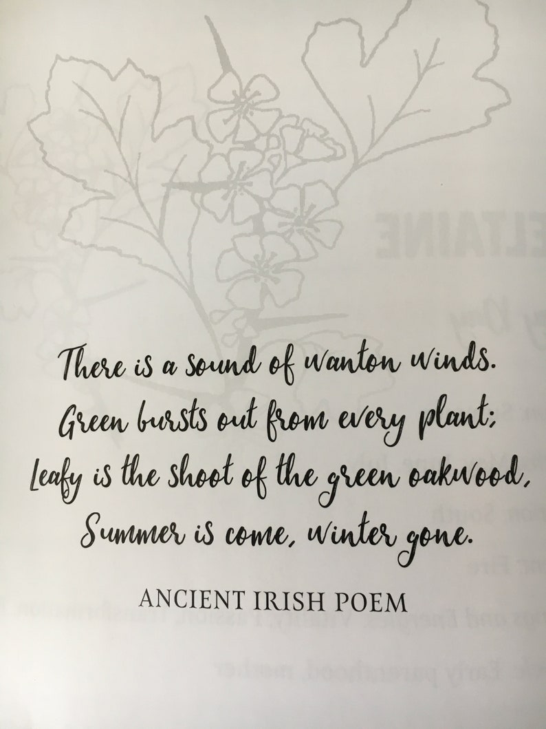 Wild Irish Roots: A Seasonal Guidebook of Herbs, Ritual and Connection image 3