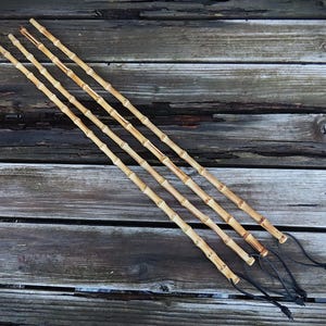 Könnte beinhalten: Fünf Bambusstangen in natürlicher, hellbrauner Farbe mit dunkelbraunen Knoten. An jedem Stab ist an einem Ende eine schwarze Schnur befestigt. Die Stangen sind diagonal auf einer verwitterten, grauen Holzoberfläche angeordnet.