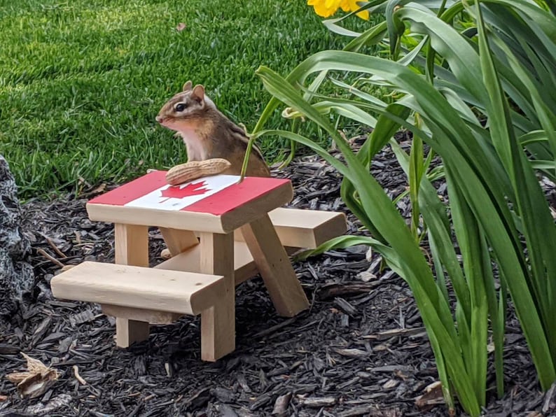 Mini Picnic Table for Chipmunks Squirrels and Birds Etsy