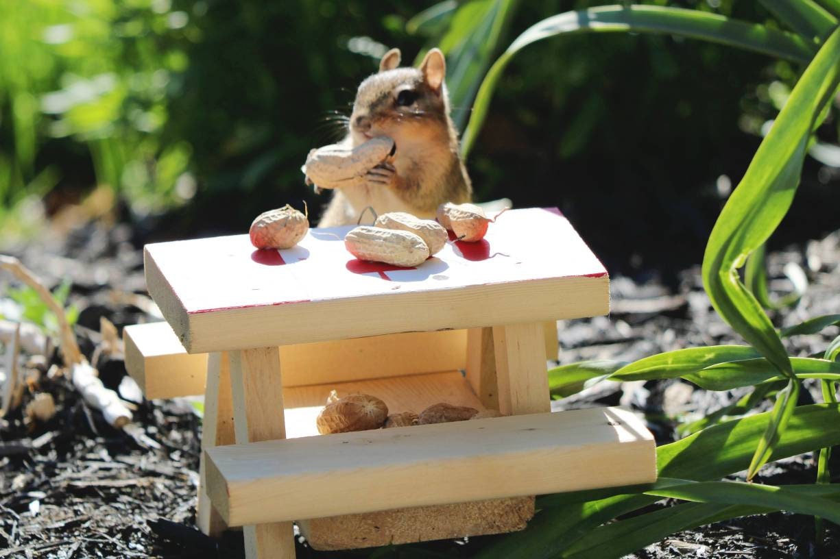 Mini Picnic Table for Chipmunks Squirrels and Birds Etsy