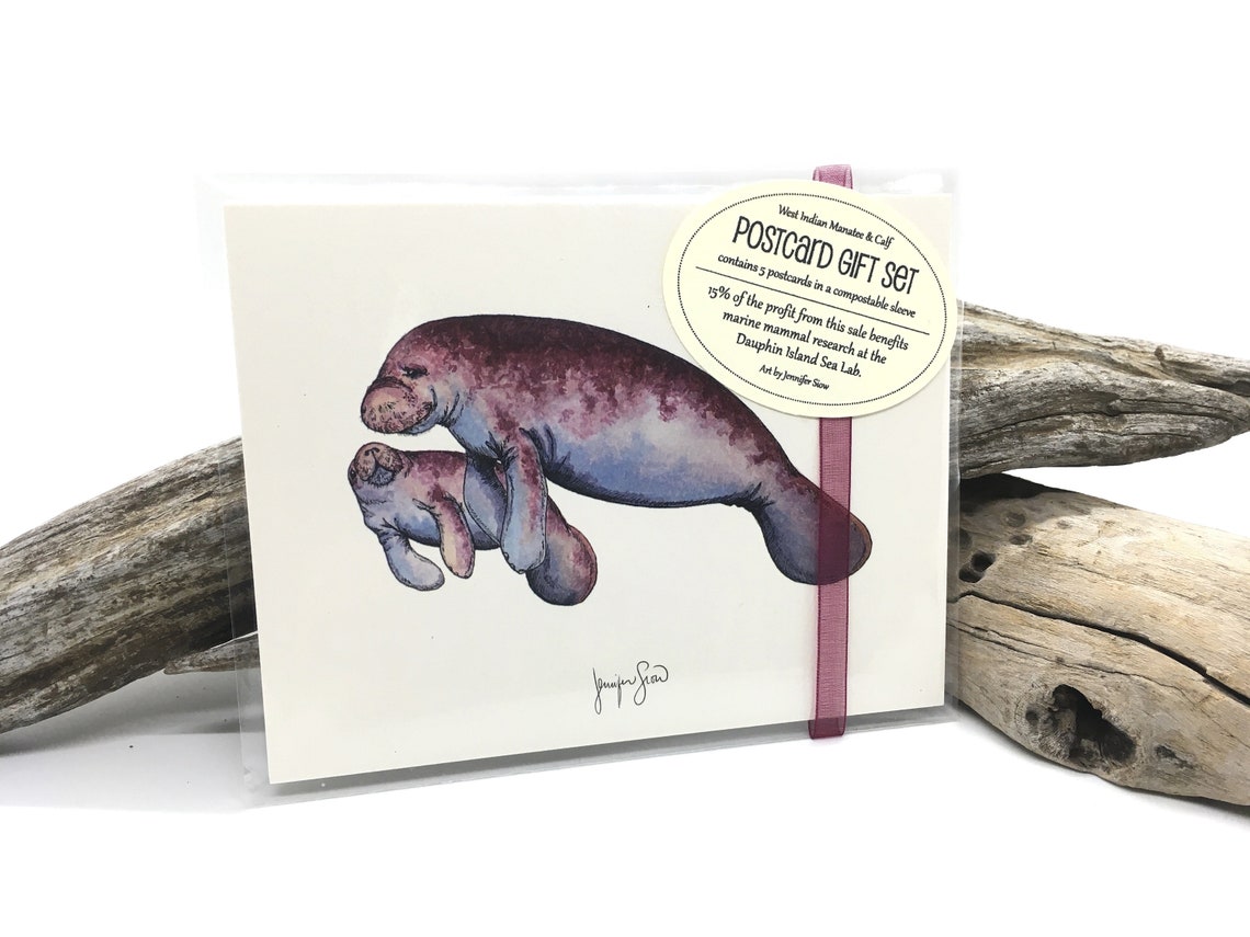 When were manatees discovered picture