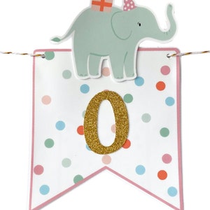 May include: A festive banner with a light green elephant wearing a party hat and carrying a gift. The banner is white with colorful polka dots and a gold glitter "0". The banner is strung with gold and white twine.