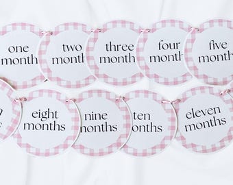 Pink Gingham Baby First Year Photo Banner: 1st Birthday 12 Month Milestone Decoration