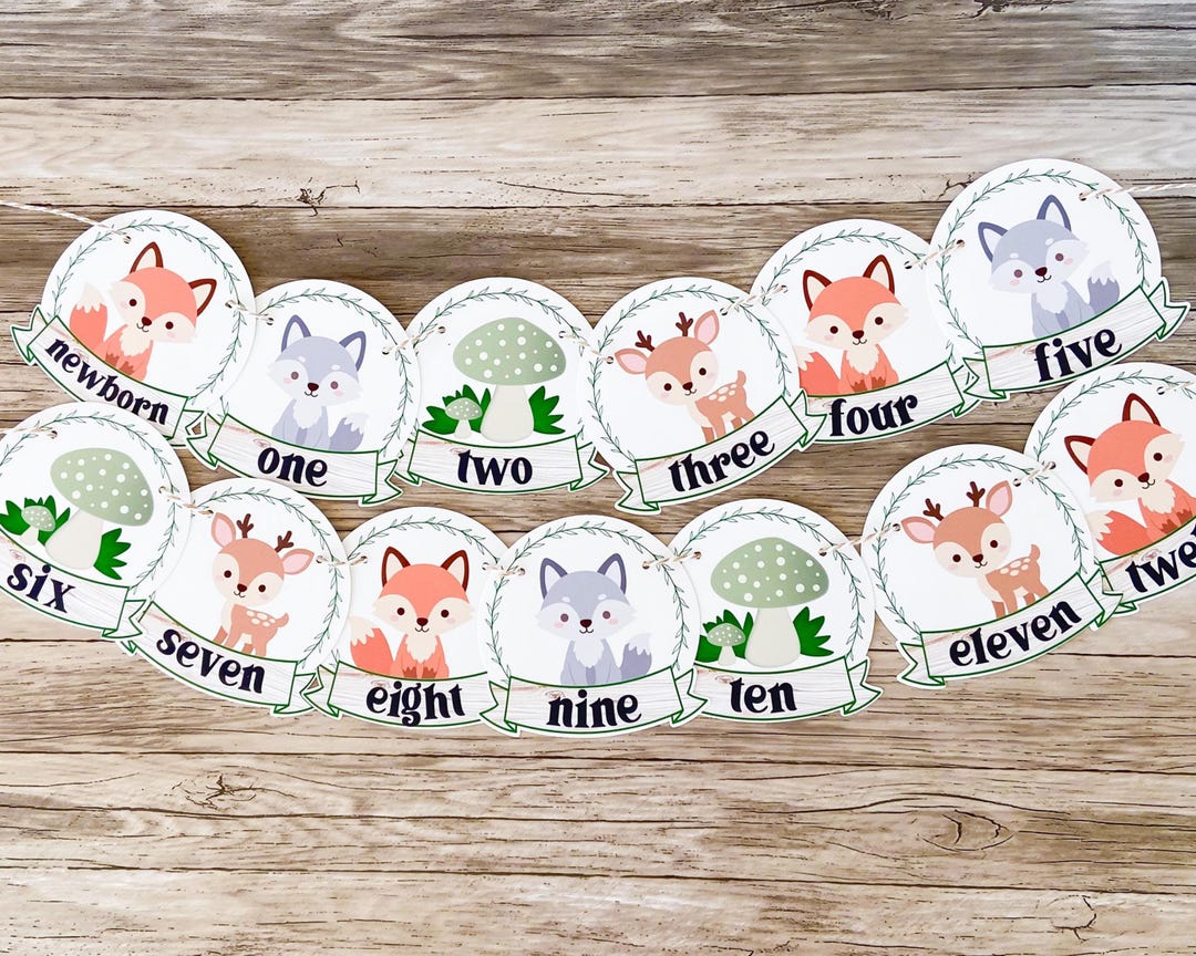 Woodland Animal Theme Monthly Milestone Photo Banner: Baby’s First Year ...