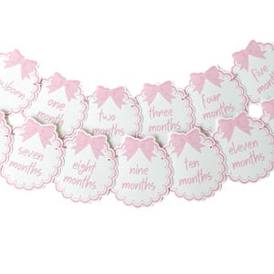 Bow Monthly Photo Banner, Girl First Year Milestone Banner, Pink Bow 1st Birthday Decorations