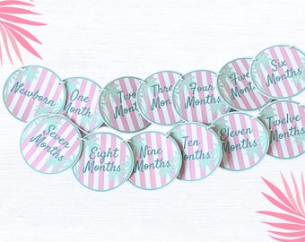Tropical First Birthday 12 Month Photo Milestone Banner: Retro Pink Stripe and Palm Tree