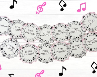 Music 1st Birthday Photo Banner: Newborn- 12 Month Milestone Baby Pictures