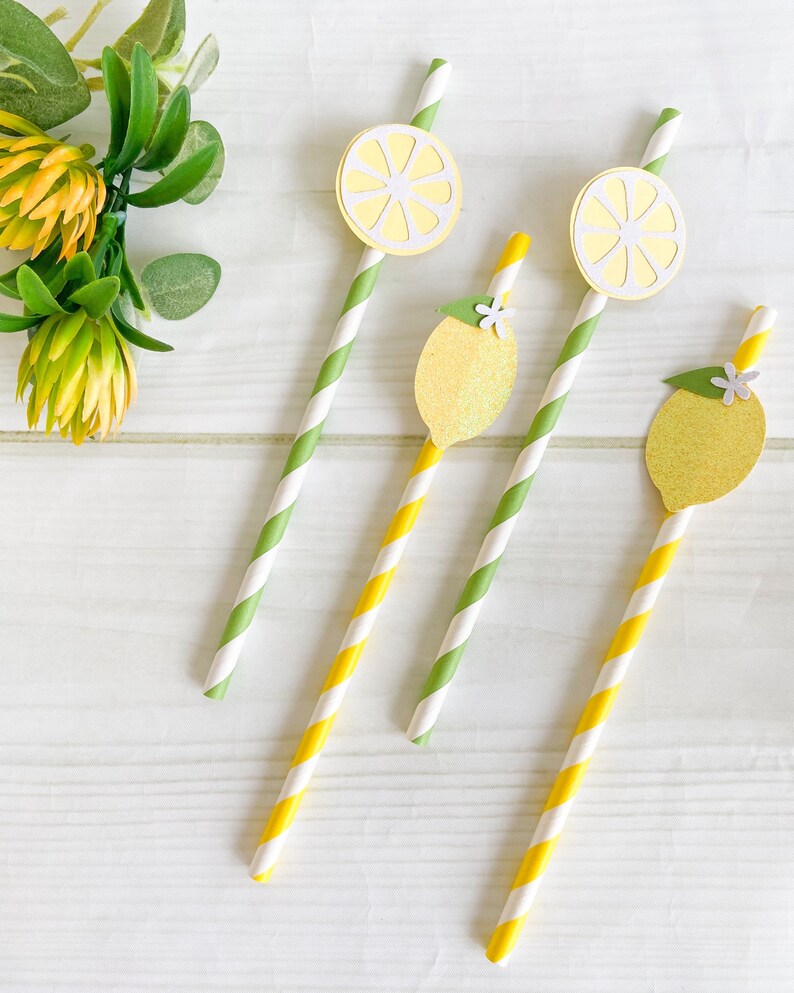 Lemon Party Straws Set of 12 Fruit Theme First Birthday Etsy