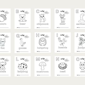 Libro para colorear ABC del bosque, actividad para baby shower, primer libro del bebé (IMPRESO) imagen 7