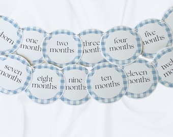 Blue Gingham Monthy Milestone Photo Banner: First Birthday Party Decoration
