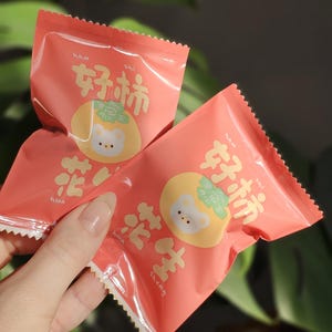 A mystery blind bag foodie animals, lucky bag, grab bag, figures miniatures, collectible figure, kawaii surprise bag with animal, miniature