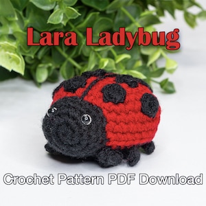 May include: A crocheted ladybug toy with black spots and a black head. The ladybug is red and has a black face with a white eye.
