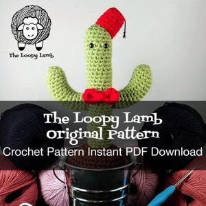 Doctor Who Crochet Cactus Pattern: Fez & Bow Tie (PDF Pattern)