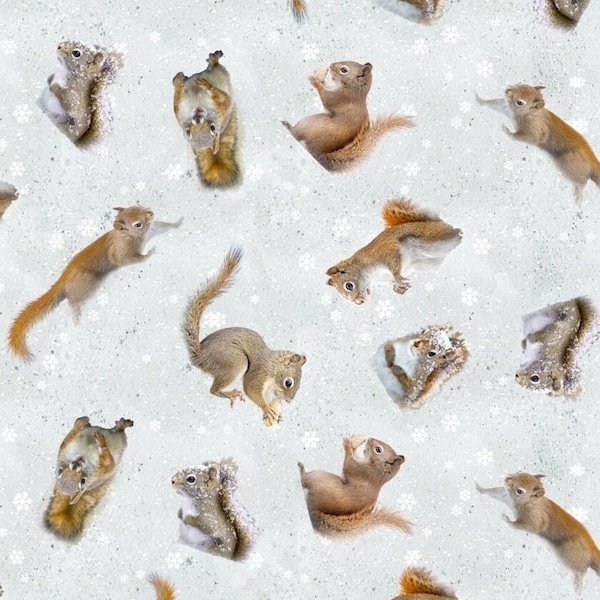 New! "Secret Life Of Squirrels" Tossed Squirrels, Squirrel Fabric! 100% Cotton•Adorable Print! Mist Gray•By Clothworks! Fast Ship!
