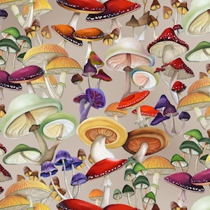 Pode incluir: Uma ilustra&ccedil;&atilde;o vibrante com uma variedade de cogumelos coloridos. A imagem mostra uma multid&atilde;o de fungos em tons de vermelho, laranja, amarelo, verde, roxo e castanho, sobre um fundo neutro. A obra de arte detalhada destaca as diversas formas e texturas dos cogumelos.
