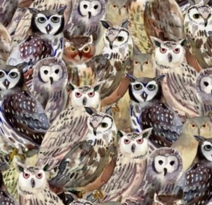 New! "Wild Wonder" Packed Owls, Owl, Bird Fabric! 100% Cotton. 1/4, 1/2, or 1 yd x 44&quot