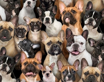 Nieuw! "Beste vrienden" Frenchies, Franse buldoggen, hondenstof! 100% katoen. 1/4, 1/2 of 1 x 43" multi/bruin•Schattig! Verzending op dezelfde dag!
