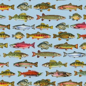 New! "The Lure Of Fishing" Lake Fish, Fishing Fabric! 100% Cotton•11.8" x 44"! Lt. Blue/Multi•By QT Fabrics! Fast Ship! Last Piece!