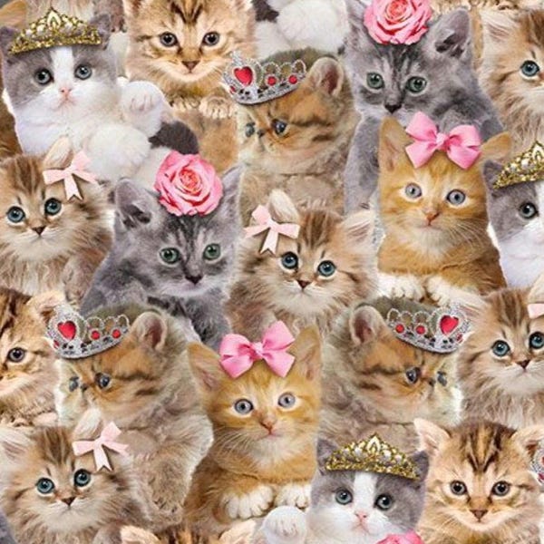 New! "Are You Kitten Me?" Packed Princess Kitty, Kitten Fabric! 100% Cotton•1/4, 1/2, 1yd x 45"! Timeless Tresures•Multi•Fast Ship!