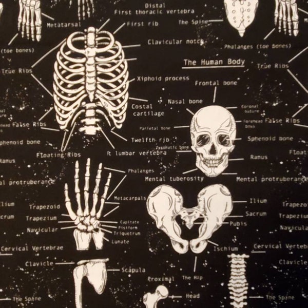 Glows! Anatomy, Skeleton, Science, Skeletal Diagram, Halloween Fabric-100% Cotton. 1/4, 1/2, or 1 yd x 44"! Glows in Dark! Fast Ship!