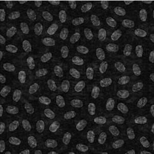 ¡Nuevo! Tela con huellas dactilares, policías y crímenes reales de &quot;True Detective&quot; • 100 % algodón • 1/4, 1/2 o 1 yarda x 44&quot; • ¡Por Dan Morris/QT Fabrics! ¡Envío rápido!