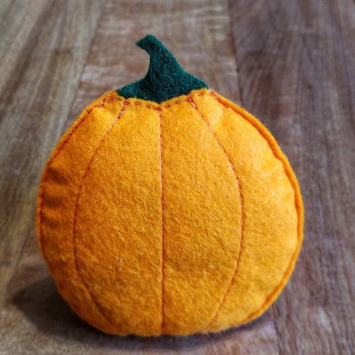 Cat Toys Catnip Doughnut Catnip Toy for Cat Gift for Cat Lover Etsy