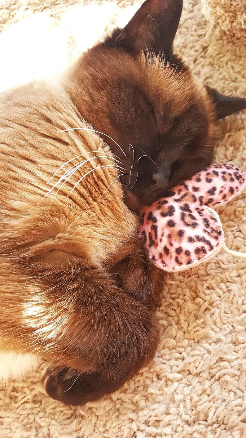 Catnip Cat Toy Teaser Wand Heart on a String Kitten Toy Etsy