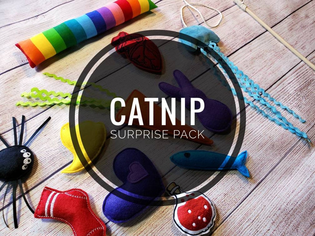Catnip Cat Toy Gift Set Cat Toy Surprise Pack Handmade in Canada Etsy