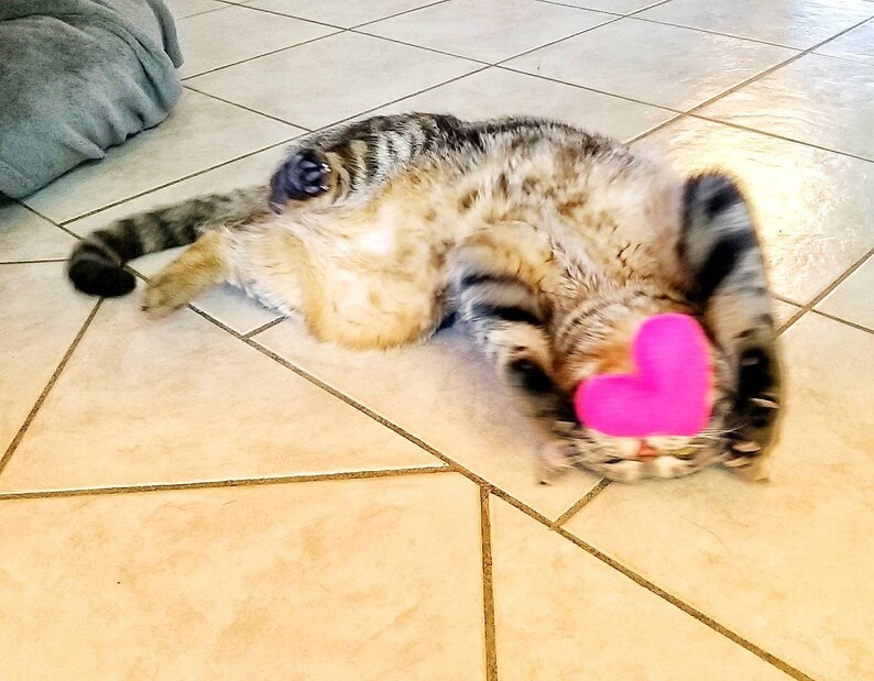 Honeysuckle Cat Toy Stuffed Heart Honeysuckle for Cats Etsy