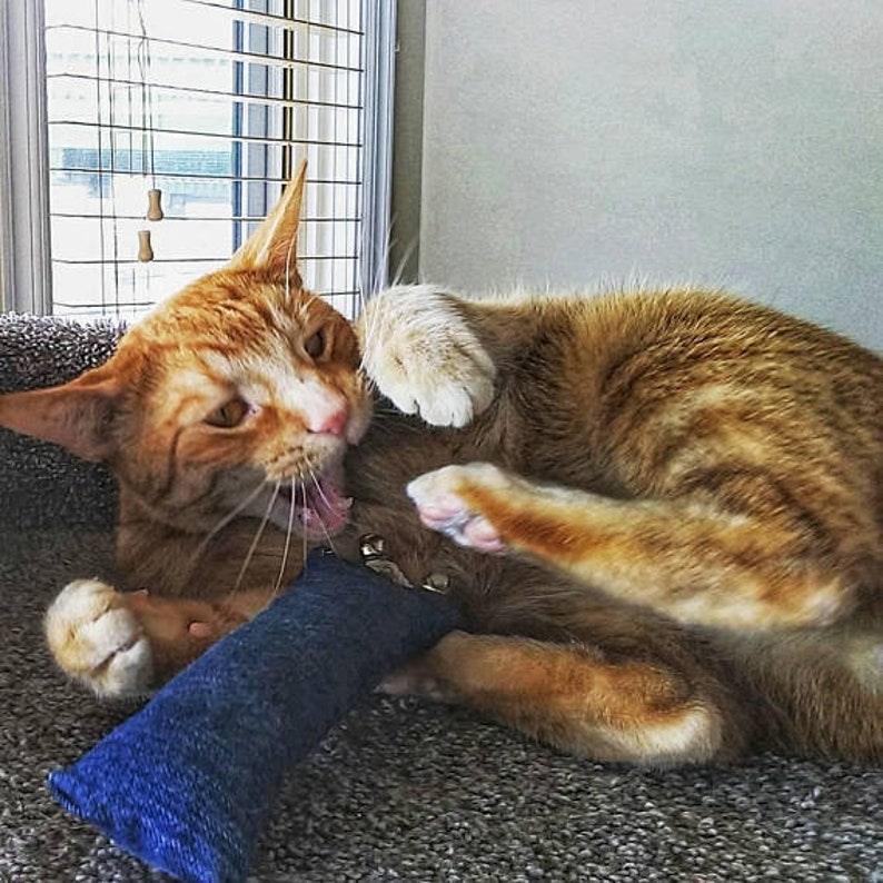 Large Durable Organic Catnip Kicker Cat Toys | Etsy