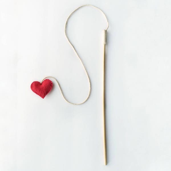 Rattling Cat Toy Teaser Wand - Heart on a String - Kitten Toy